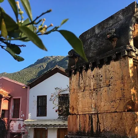 Aze's Garden Appartement Kaş