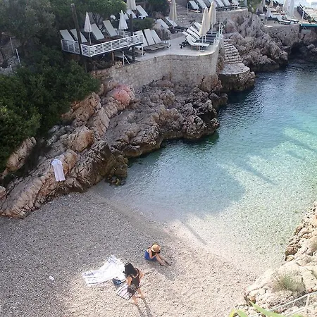 Aze's Garden * Каш