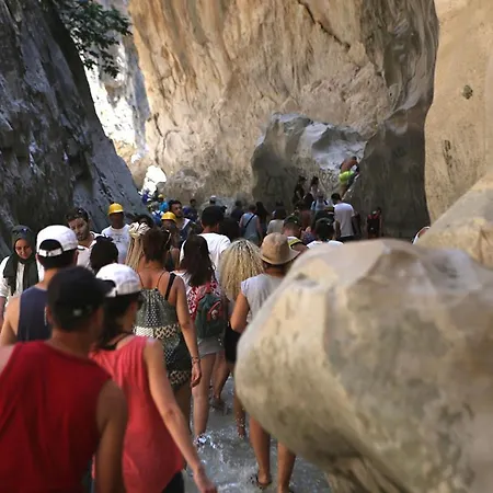 Апартаменты Aze's Garden