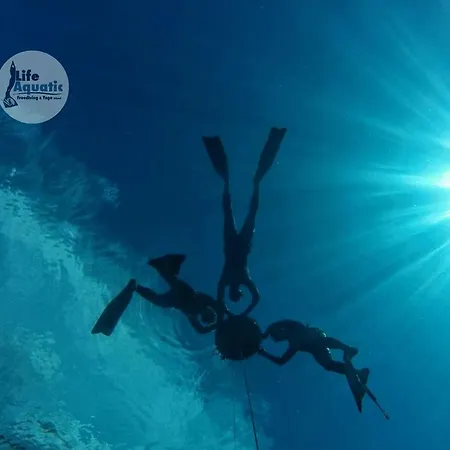 Апартаменты Aze's Garden *