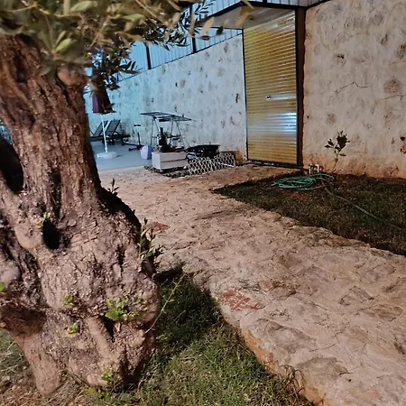 Lejlighed Aze's Garden