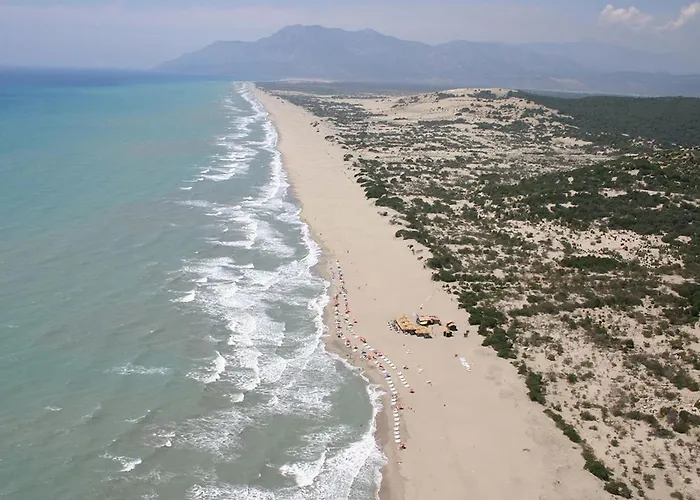 Aze's Garden Apartament