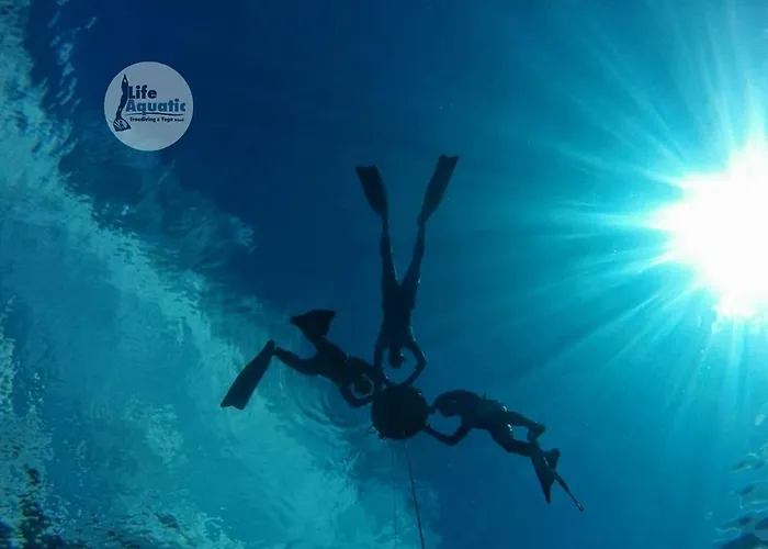 Apartament Aze's Garden *