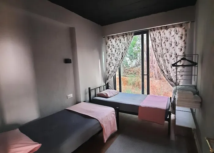 Apartament Aze's Garden *