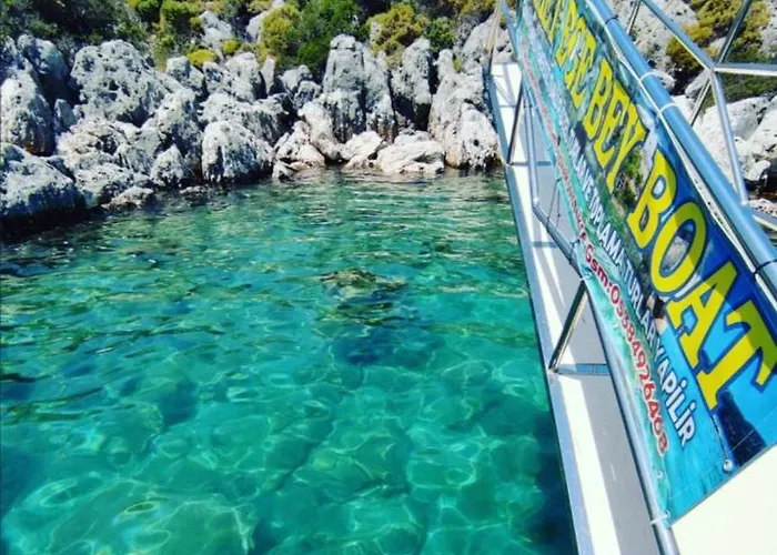 Aze's Garden Apartament